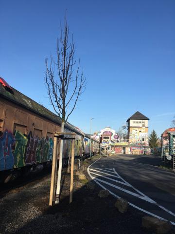 Behindertenparkplätze am Kassablanca